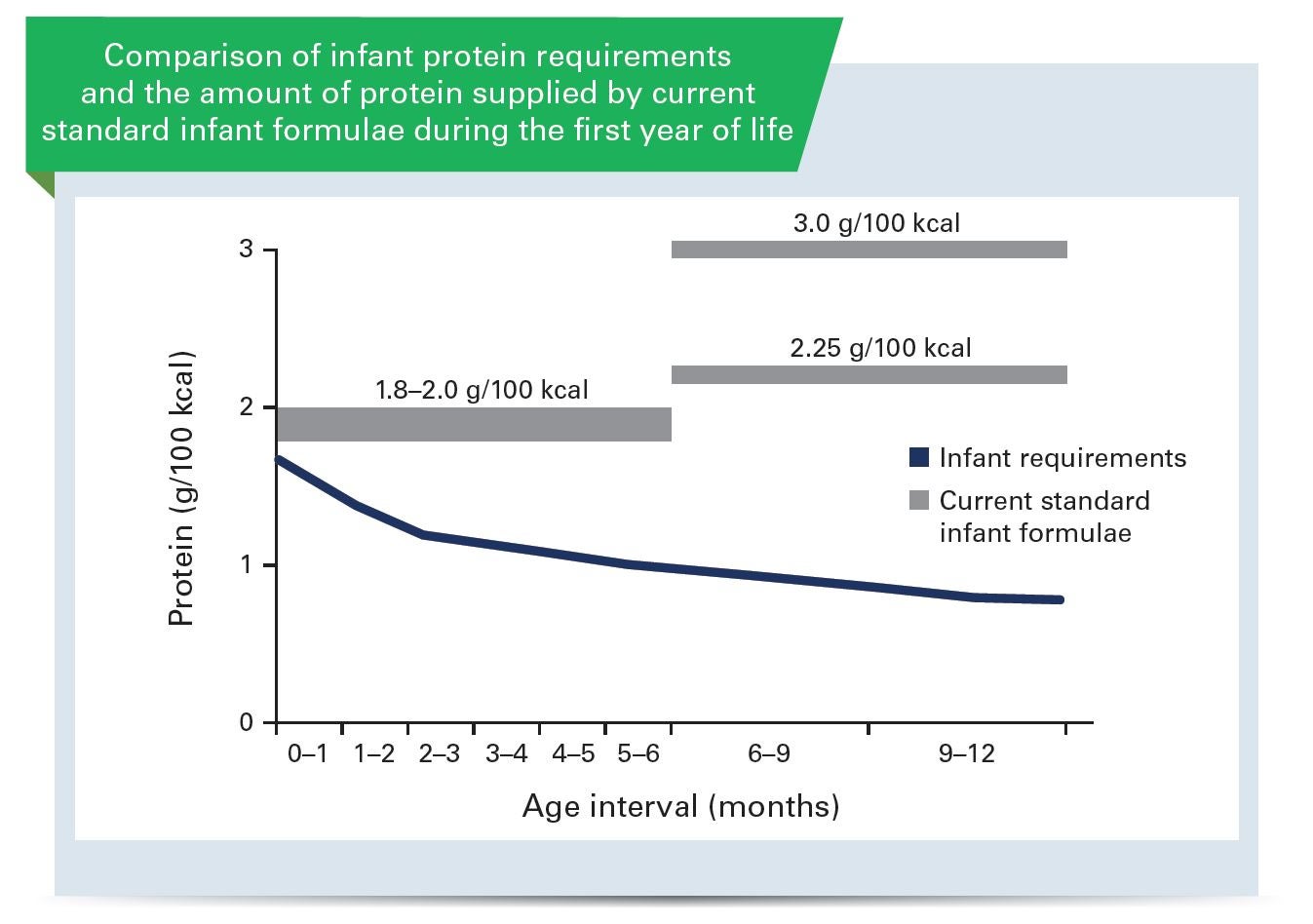 The early protein hypothesis: excessive protein intake in early infancy