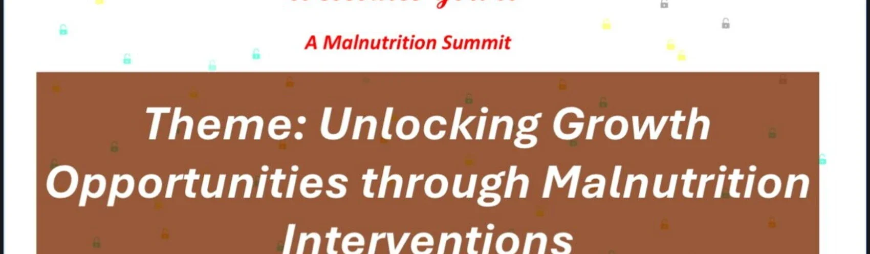 Malnutrition Summit - Ikorodu