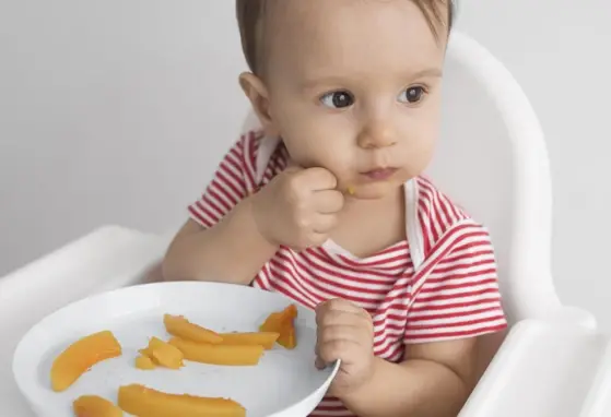 Learning to Eat: How Food Preferences and Eating Habits are Formed Early in Life