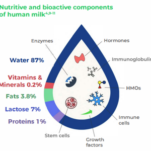 HMO Larning lead.png