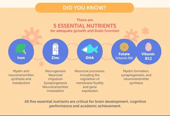 The Transformative 10: Nourishing the Brain