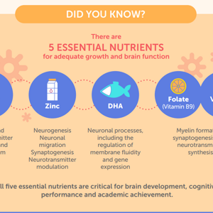 The Transformative 10: Nourishing the Brain