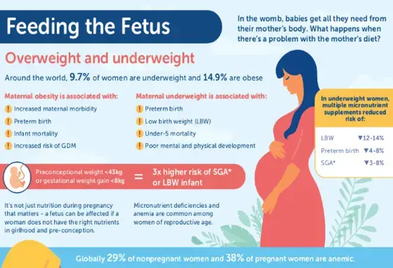 Feeding the Fetus (infographics) Feeding the Fetus (infographics)