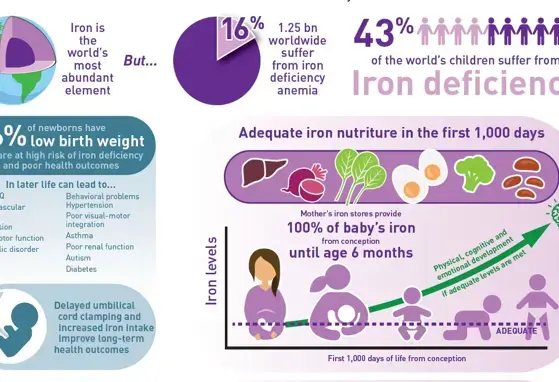 Meeting the iron needs of young children (infographics)