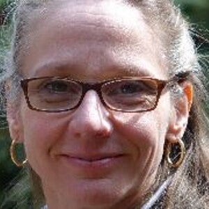 neufeld_lynette_landscape