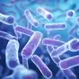 The Latest ESPGHAN Recommendations: Probiotics for Managing Pediatric Gastrointestinal Disorders probiotics