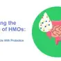 Enhancing the benefits of HMOs.png