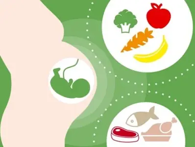 Módulo 11 - Etapas da vida