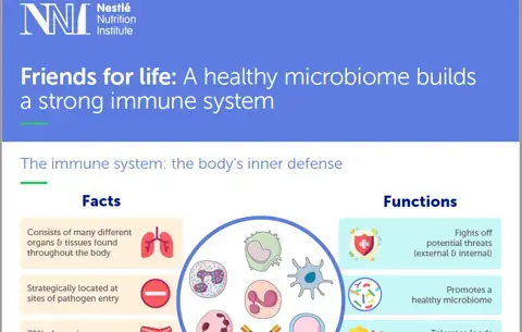 Microbiome Immunity Infographics.PNG