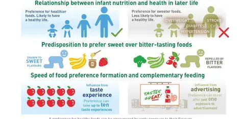 Influencing flavour perception and preference in infants for long-term health (infographics)